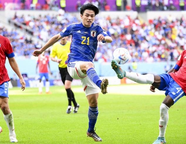 适应能力和 适应能力和