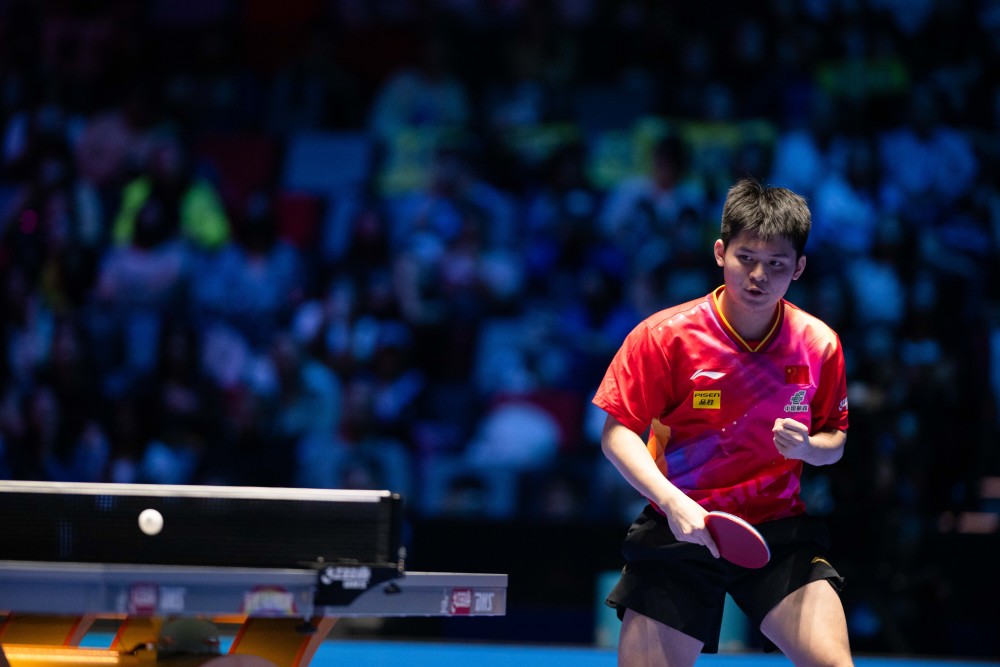 算法倾向低 算法倾向低